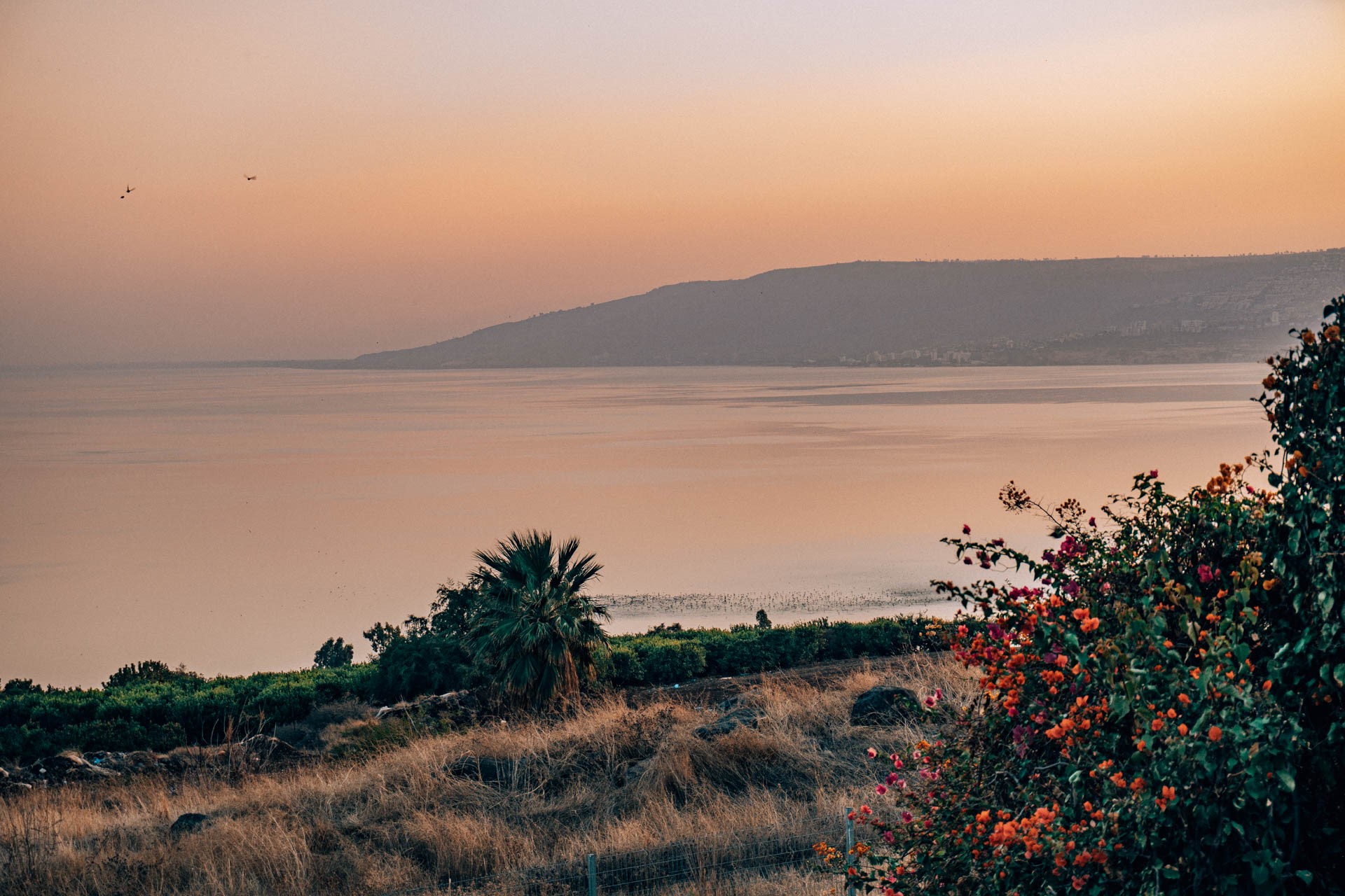 Jezioro Galilejskie | Atrakcje w Izraelu