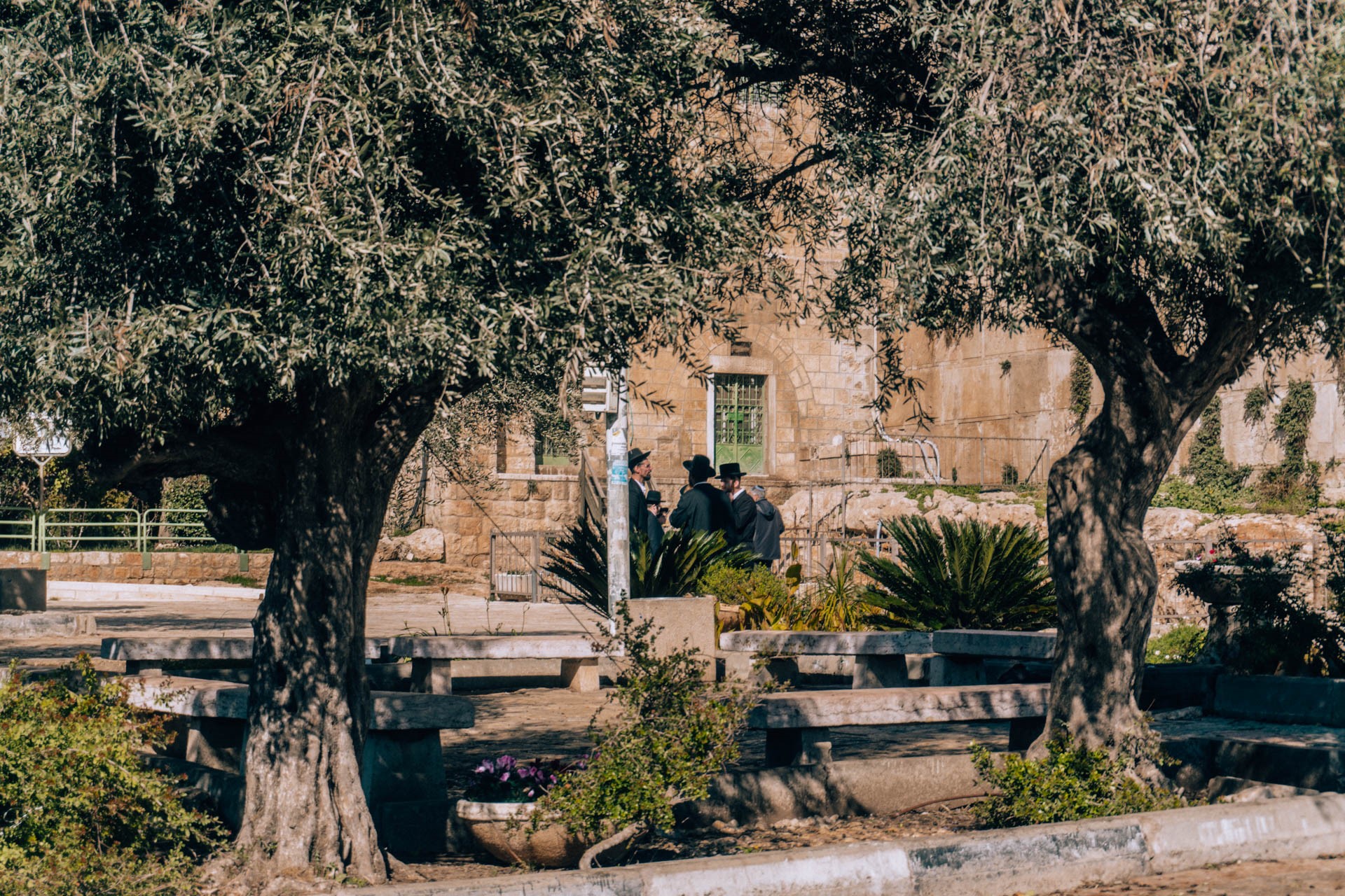 Miasto Hebron | Atrakcje w Izraelu