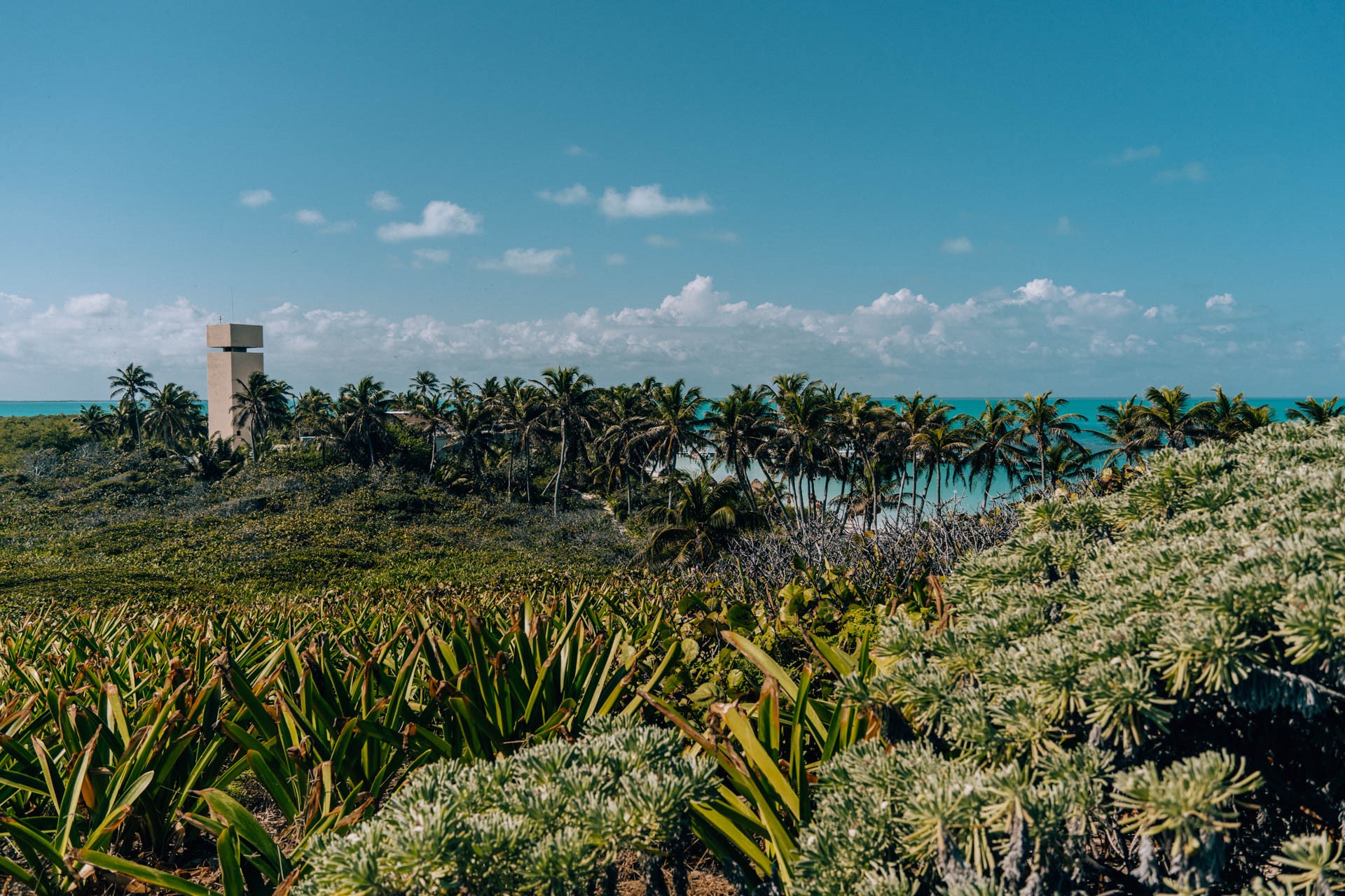 Wieża widokowa Isla Contoy
