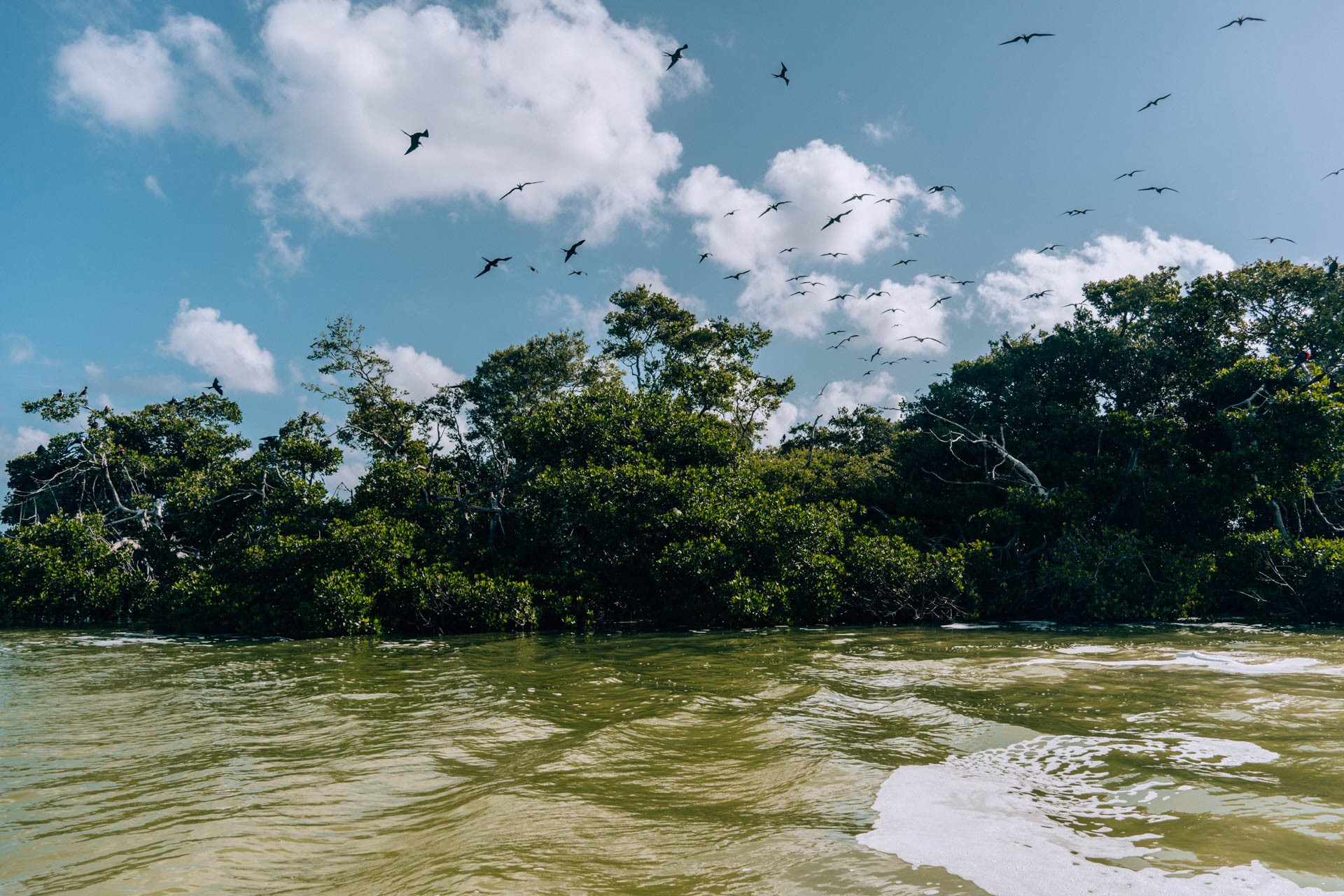 Wyspa Ptaków w rezerwacie Sian Kaa'n