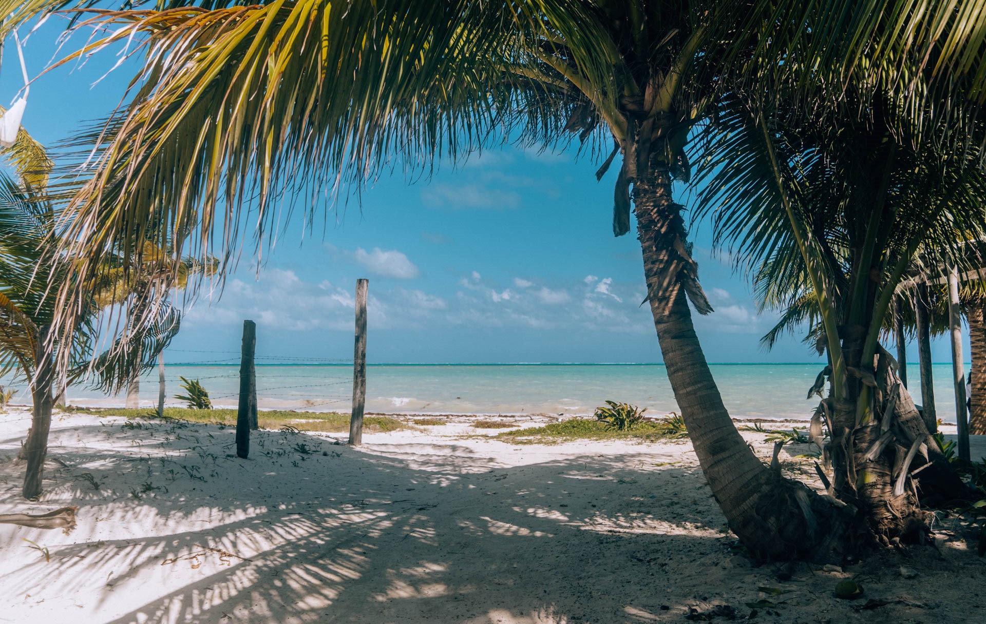 Punta Allen | Zwiedzanie Jukatanu
