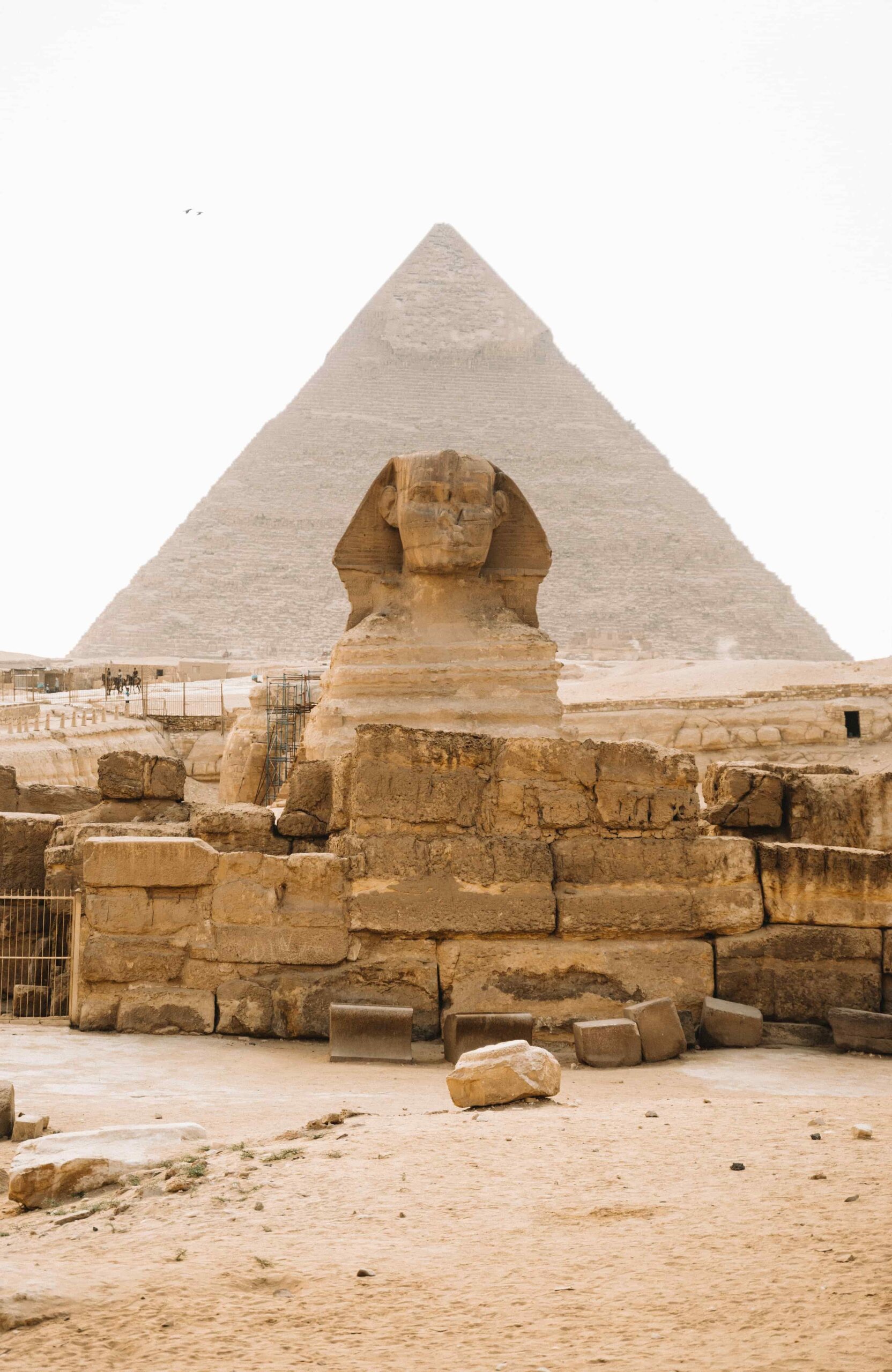 Sfinks na tle piramid w Gizie