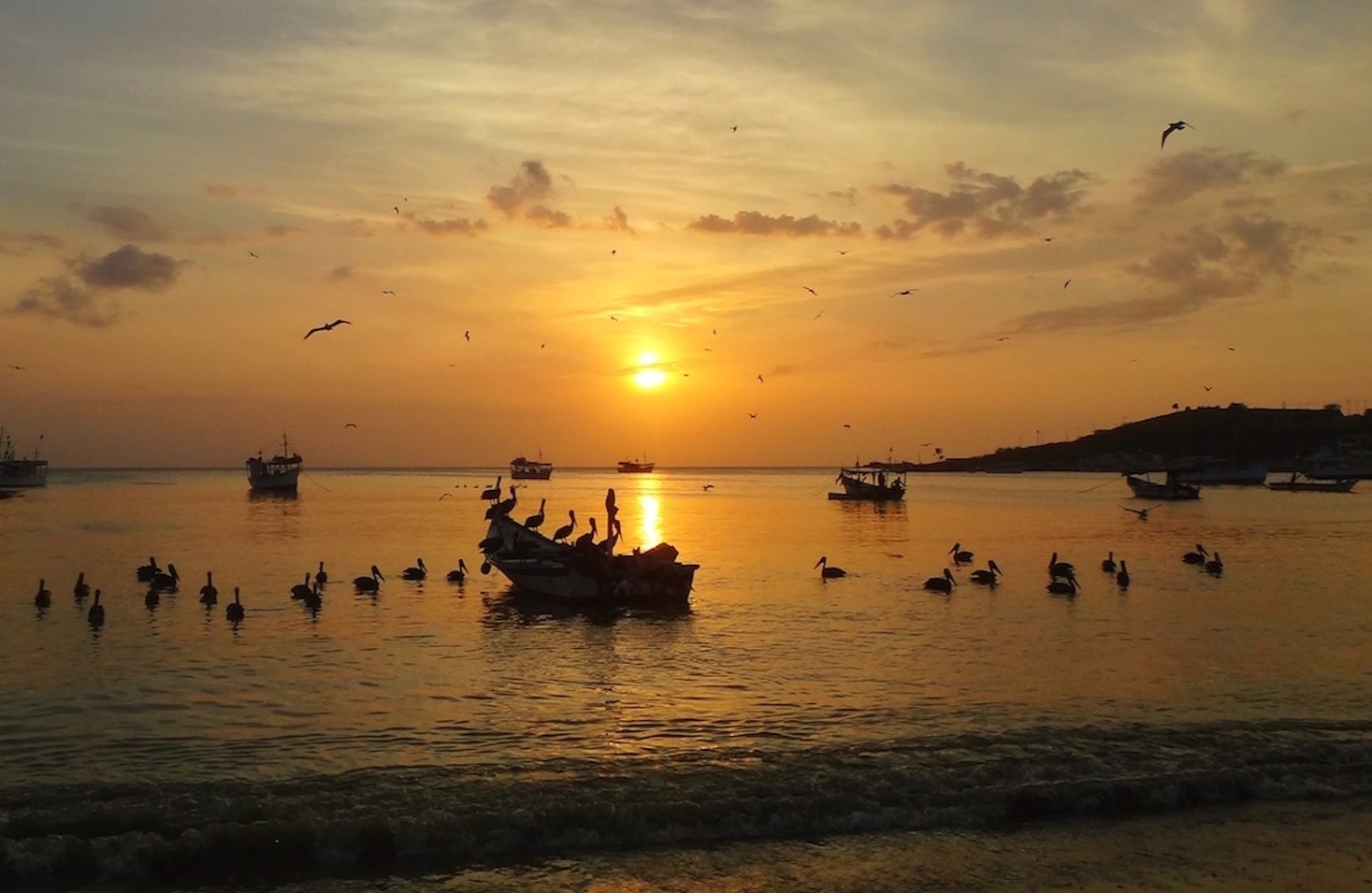 Wyspa Margarita | Gdzie jechać w 2024 roku na egzotyczne wakacje